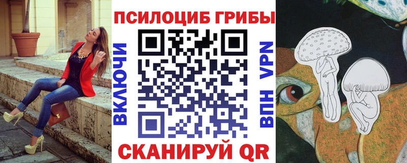 где купить наркотик  Нюрба  Псилоцибиновые грибы мицелий 